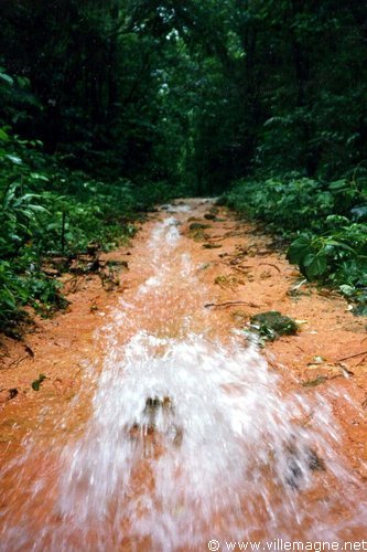 Pulau Tioman - Malaisie Pulau Tioman - Malaisie