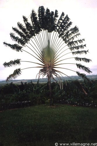 Martinique - France Martinique - France