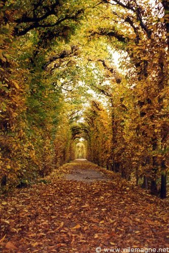 Schönbrunn - Autriche Schönbrunn - Autriche