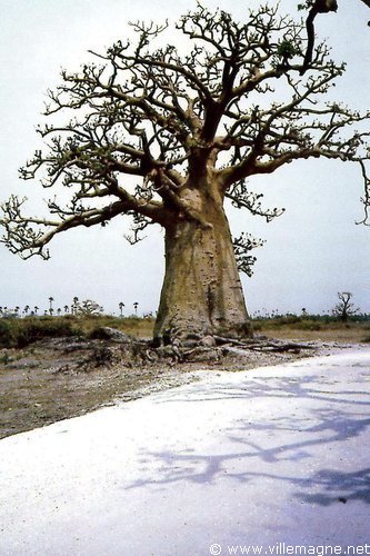 Près de Dakar - Sénégal Près de Dakar - Sénégal