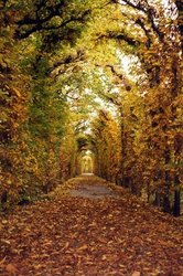 Schönbrunn - Autriche Schönbrunn - Autriche