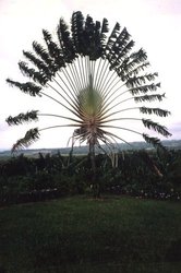 Martinique - France Martinique - France