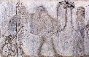 Bactrien – procession des offrandes au Grand Roi – Palais de Persépolis