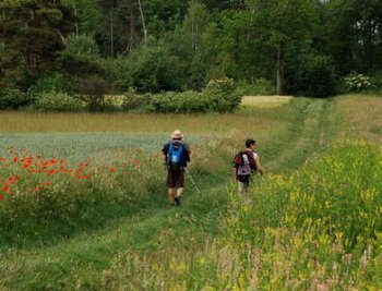 Sur la Via Francigena en Champagne-Ardennes Sur la Via Francigena en Champagne-Ardennes