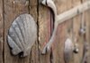 Les premiers pas vers Compostelle | Via Septemtriones Templi