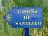Sur le chemin de Saint-Jacques-de-Compostelle : AFM delegations ...