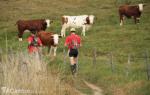 Plus d’un millier de participants attendus le 22 septembre entre Le Sauvage et Le Puy-en-Velay