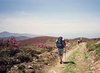 Objectif Compostelle: " camino assistance"