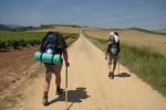 Les chemins de Compostelle