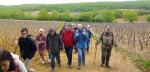 Chagny | Sur les chemins de Saint-Jacques-de-Compostelle
