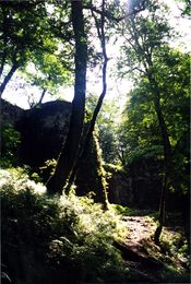 La citadelle de la secte des assassins dans les montagnes près du village de Massoulé, dans le voisinage de la mer Caspienne La citadelle de la secte des assassins dans les montagnes près du village de Massoulé, dans le voisinage de la mer Caspienne
