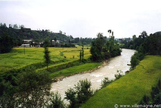 Rizières dans la région de Chalus au nord de Téhéran près de la mer Caspienne Rizières dans la région de Chalus au nord de Téhéran près de la mer Caspienne