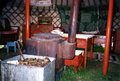 Chauffage et cuisine dans la yourte. Le combustible : du crottin de cheval Chauffage et cuisine dans la yourte. Le combustible : du crottin de cheval
