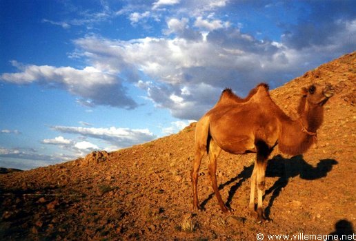 Désert de Gobi Désert de Gobi