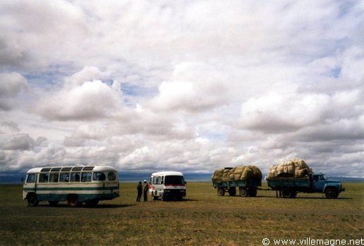 Rencontre impromptue dans le désert de Gobi