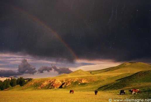 Steppe dans la vallée de l’Orkhon Steppe dans la vallée de l’Orkhon