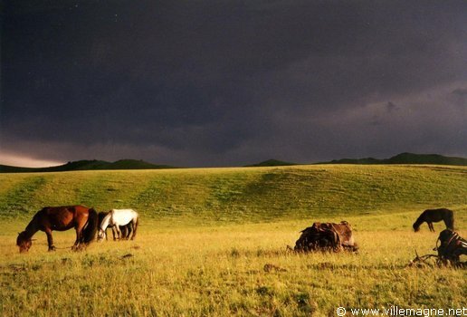 Steppe dans la vallée de l’Orkhon Steppe dans la vallée de l’Orkhon
