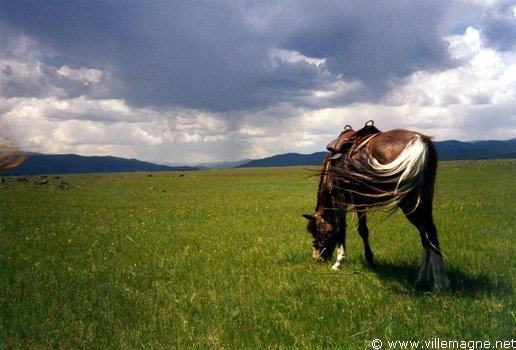 Steppe dans la vallée de l’Orkhon Steppe dans la vallée de l’Orkhon