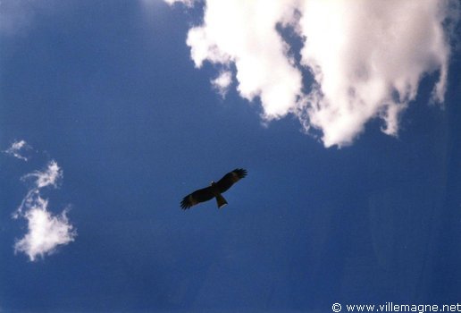 « Tengri », le Grand Ciel Bleu révéré par les Mongols « Tengri », le Grand Ciel Bleu révéré par les Mongols
