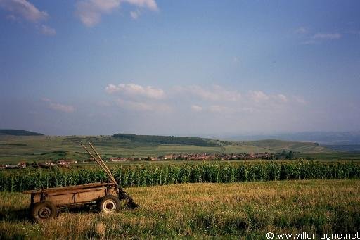 ampagne de Transylvanie - Roumanie ampagne de Transylvanie - Roumanie