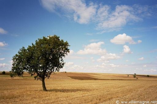 Campagne de Thrace - Turquie Campagne de Thrace - Turquie
