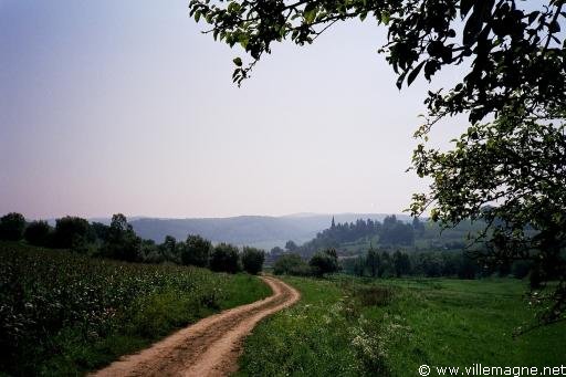 Campagne de Transylvanie à l’approche du village de Kastenholz - Roumanie Campagne de Transylvanie à l’approche du village de Kastenholz - Roumanie