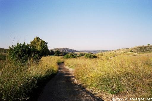 Chemin de Galilée - Israël Chemin de Galilée - Israël
