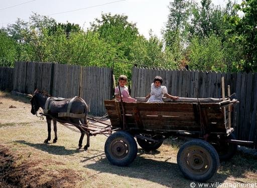 Dans la plaine danubienne au sud de la Roumanie Dans la plaine danubienne au sud de la Roumanie