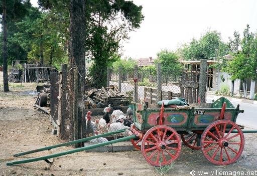 Dans une ferme de Bulgarie septentrionale Dans une ferme de Bulgarie septentrionale