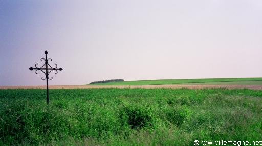 Le blé en herbe dans la Brie Le blé en herbe dans la Brie