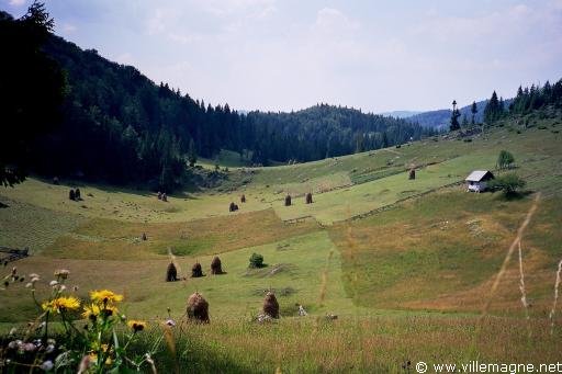 Monts Apuseni - Roumanie