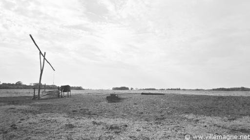 Parc national de Kiskunsagi - Hongrie Parc national de Kiskunsagi - Hongrie