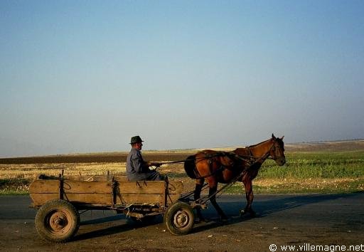 Paysan en Transylvanie - Roumanie Paysan en Transylvanie - Roumanie