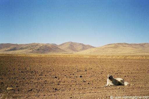 Steppe - sous le regard d’Atatürk…; - Turquie Steppe - sous le regard d’Atatürk…; - Turquie