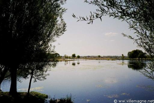 Une oasis dans la steppe - Turquie Une oasis dans la steppe - Turquie