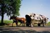 Carriole de Tsiganes - Roumanie Carriole de Tsiganes - Roumanie