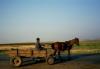 Paysan en Transylvanie - Roumanie Paysan en Transylvanie - Roumanie