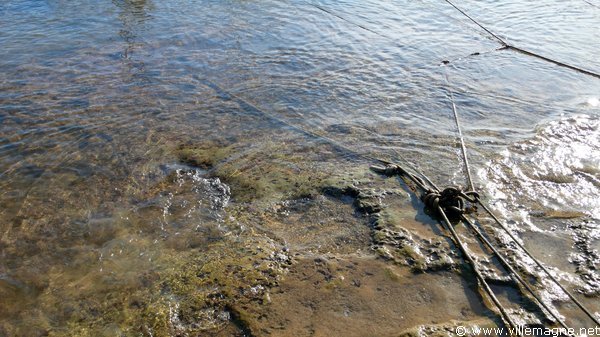 Amarrages au port de Leuca Amarrages au port de Leuca