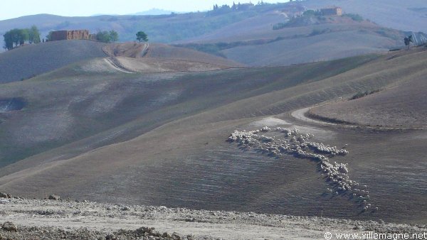 Au sud-est d’Arbia - Les crêtes siennoises Au sud-est d’Arbia - Les crêtes siennoises