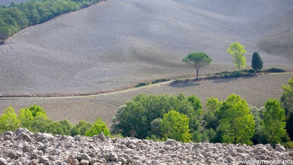 Au sud-est d’Arbia - Les crêtes siennoises Au sud-est d’Arbia - Les crêtes siennoises