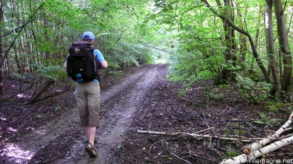 Bois de Saint-Méry Bois de Saint-Méry