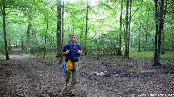 Bois des Comtes d’Oraison Bois des Comtes d’Oraison