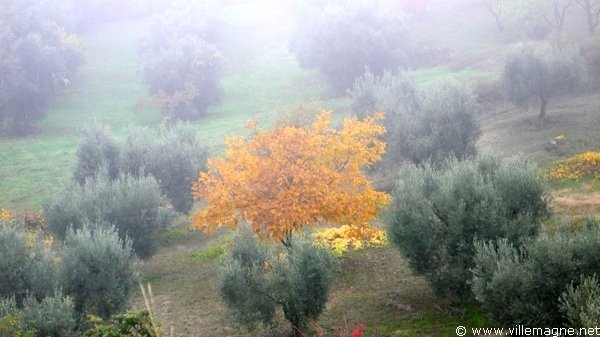 Brume aux environs d’Aliano Brume aux environs d’Aliano