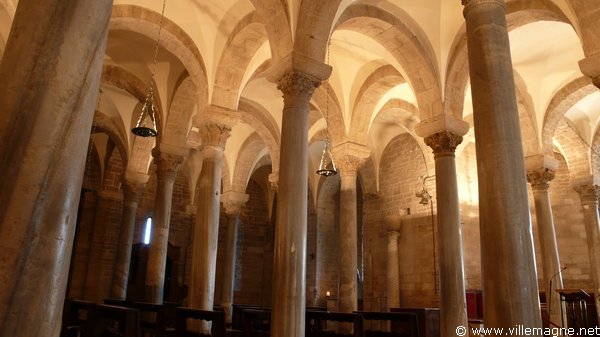Cathédrale de Trani Cathédrale de Trani