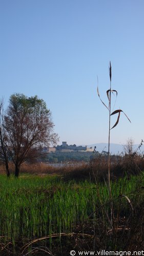 Château de Castiglione del Lago Château de Castiglione del Lago