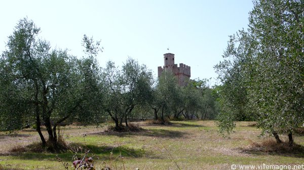 Château de Chicciola - Entre Monteriggioni et Sienne Château de Chicciola - Entre Monteriggioni et Sienne
