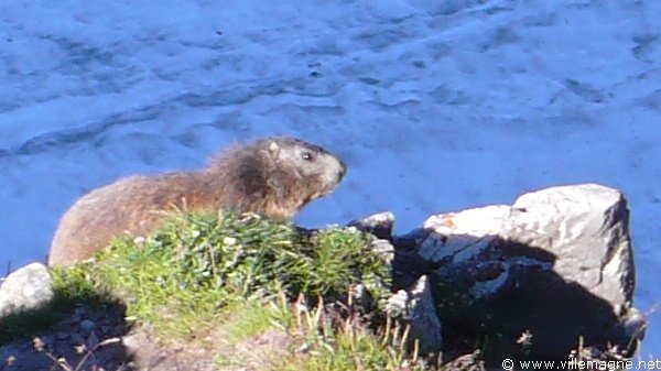 Col de Surenen Col de Surenen