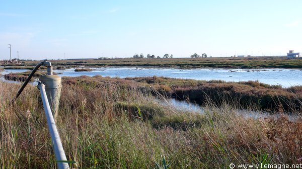 Côte adriatique entre Siponto et Zapponeta Côte adriatique entre Siponto et Zapponeta