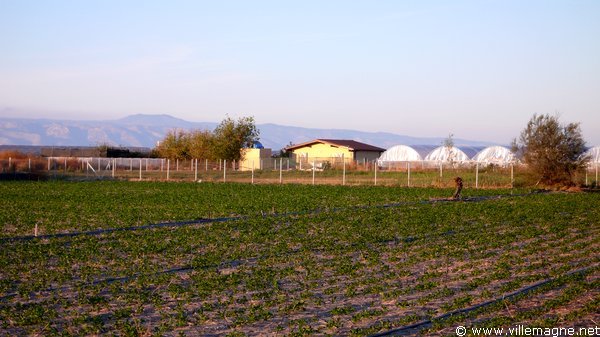 Côte adriatique entre Siponto et Zapponeta Côte adriatique entre Siponto et Zapponeta