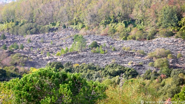 Coulée de lave sur le flanc de Vésuve Coulée de lave sur le flanc de Vésuve